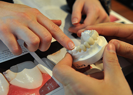 Docteur David Hacmoun